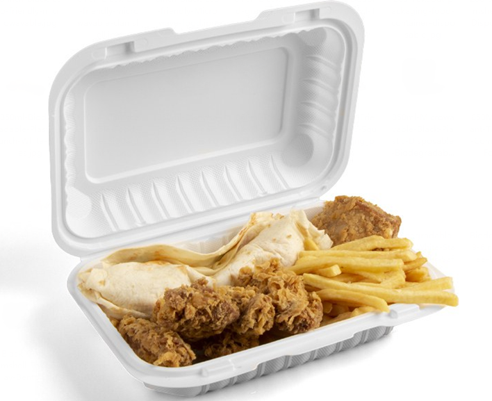 plastic containers for food disposable
