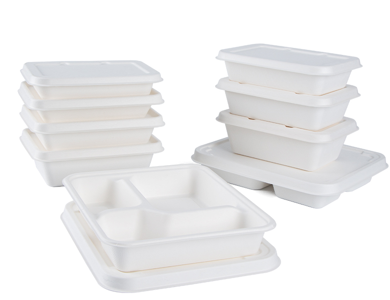 Biodegradable lunch box Biodegradable lunch box