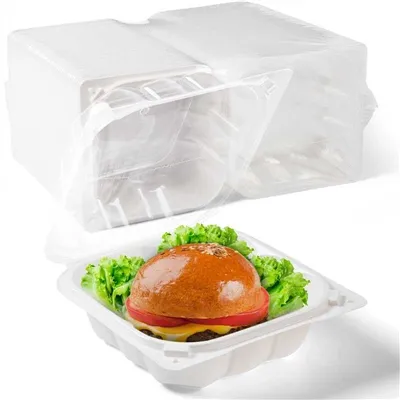 biodegradable to-go boxes