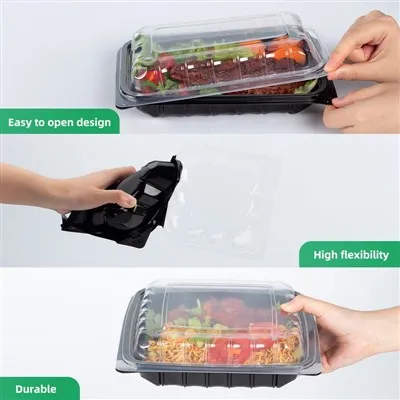 Take-out Plastic Containers